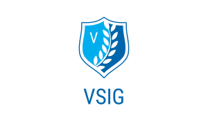 VSIG